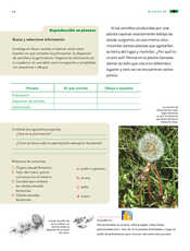 Ciencias Naturales Cuarto grado página 050