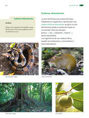 Ciencias Naturales Cuarto grado página 064