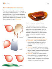 Ciencias Naturales Cuarto grado página 113