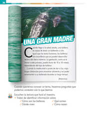Lengua Materna Español Primer grado página 036