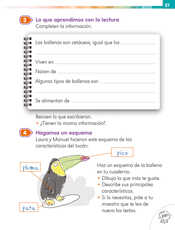 Lengua Materna Español Primer grado página 037