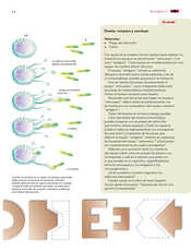 Ciencias Naturales Sexto grado página 026