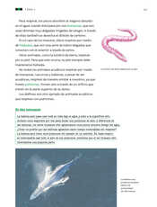 Ciencias Naturales Tercer grado página 051
