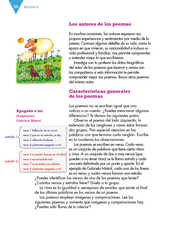 Lengua Materna Español Tercer grado página 050