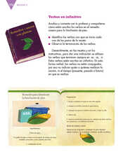 Lengua Materna Español Tercer grado página 152