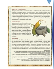 Libro Español cuarto grado Página 41