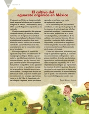 Libro Español quinto grado Página 106