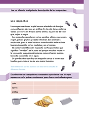 Libro Español libro para el alumno segundo grado Página 119