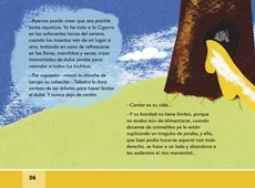 Libro Español libro de lectura segundo grado Página 36