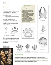 Libro Ciencias Naturales sexto grado Página 59