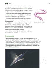 Libro Ciencias Naturales tercero grado Página 51