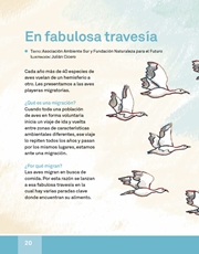 Libro Español libro de lectura tercero grado Página 20