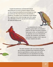 Libro Español libro de lectura tercero grado Página 27