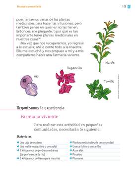 Proyectos Comunitarios Primer grado página 123