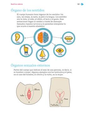 Nuestros Saberes Segundo grado página 101