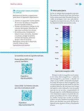 Nuestros Saberes Segundo grado página 141