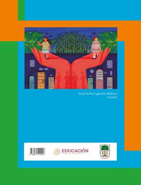 Proyectos Comunitarios Segundo grado página 281