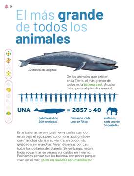 Múltiples Lenguajes Tercer grado página 024