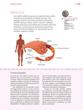 Nuestros Saberes Tercer grado página 071