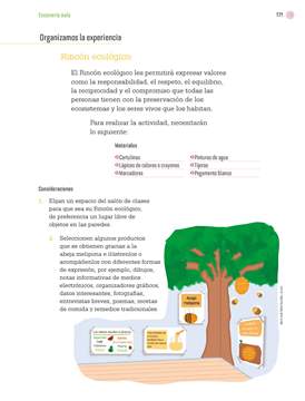 Proyectos de Aula Tercer grado página 171