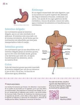 Nuestros Saberes Cuarto grado página 070