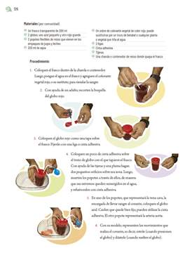 Proyectos de Aula Quinto grado página 126