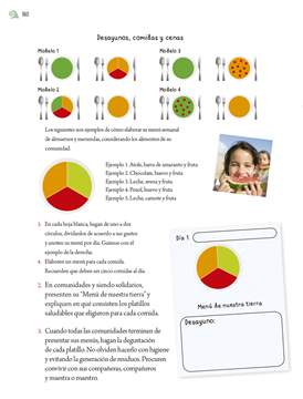 Proyectos de Aula Quinto grado página 160