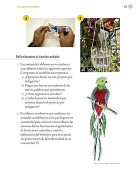 Proyectos Comunitarios Quinto grado página 163