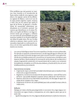 Etica Naturaleza y Sociedades Primer grado página 090