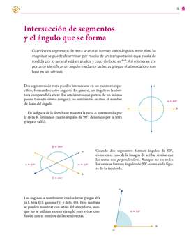 Saberes y Pensamiento Cientifico Primer grado página 019