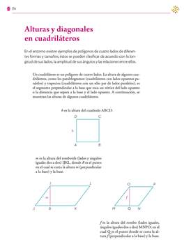 Saberes y Pensamiento Cientifico Primer grado página 174