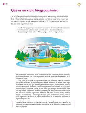 Saberes y Pensamiento Cientifico Primer grado página 206