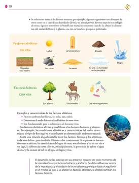 Saberes y Pensamiento Cientifico Primer grado página 228