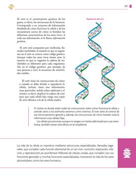 Saberes y Pensamiento Cientifico Primer grado página 247