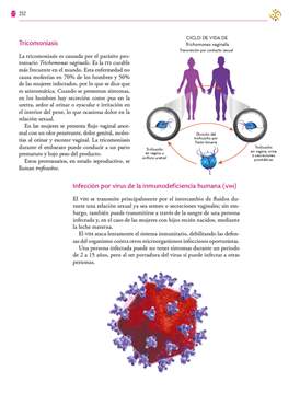 Saberes y Pensamiento Cientifico Primer grado página 252