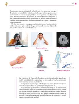 Saberes y Pensamiento Cientifico Primer grado página 253