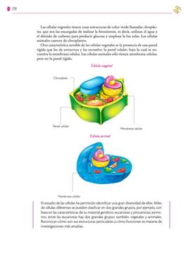 Saberes y Pensamiento Cientifico Primer grado página 270