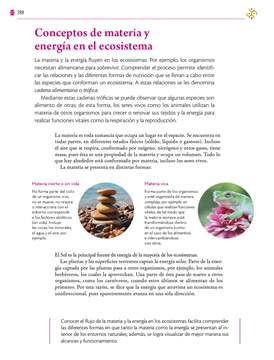 Saberes y Pensamiento Cientifico Primer grado página 288