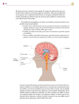 Saberes y Pensamiento Cientifico Primer grado página 302