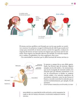 Saberes y Pensamiento Cientifico Primer grado página 303