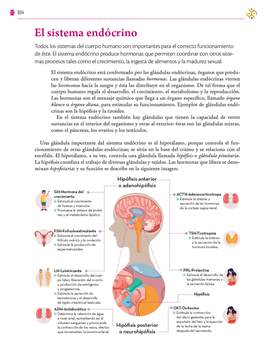 Saberes y Pensamiento Cientifico Primer grado página 304