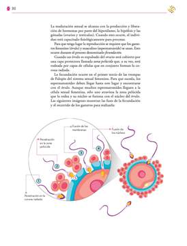 Saberes y Pensamiento Cientifico Primer grado página 310