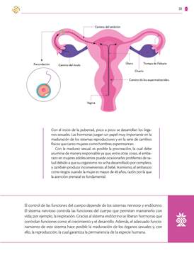 Saberes y Pensamiento Cientifico Primer grado página 311