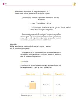 Saberes y Pensamiento Cientifico Segundo grado página 072