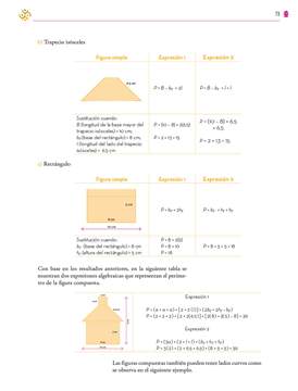 Saberes y Pensamiento Cientifico Segundo grado página 073