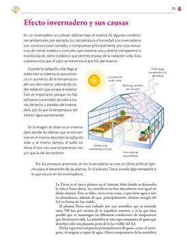 Saberes y Pensamiento Cientifico Segundo grado página 175