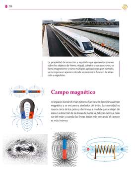 Saberes y Pensamiento Cientifico Segundo grado página 236