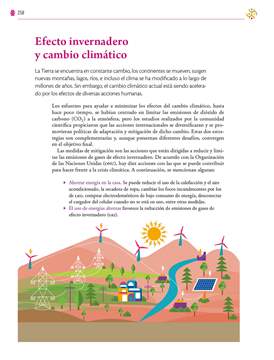 Saberes y Pensamiento Cientifico Segundo grado página 258