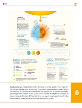 Saberes y Pensamiento Cientifico Segundo grado página 260