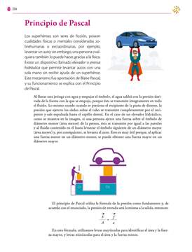 Saberes y Pensamiento Cientifico Segundo grado página 294